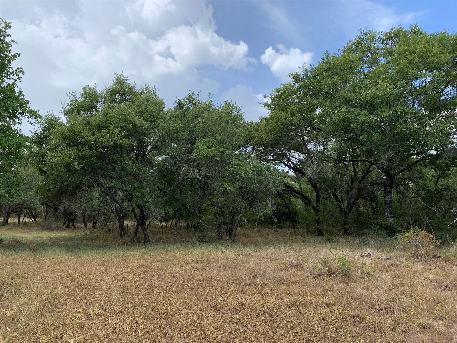 Real estate property located at 0 County Road 158, Lavaca, Hallettsville, TX, US
