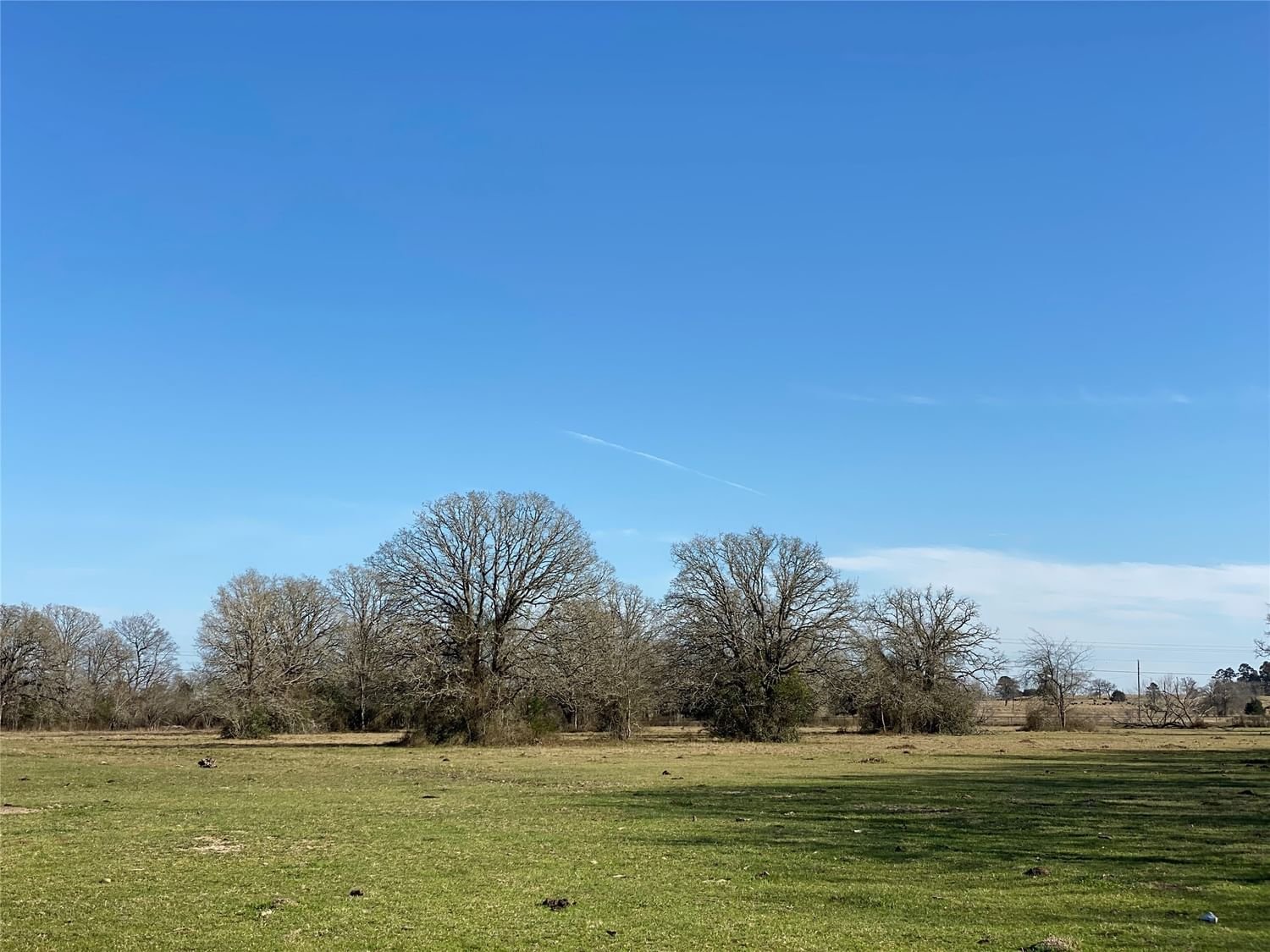 Real estate property located at 10.038 Acres Lot 3, County Road 228, Grimes, Bedias, TX, US