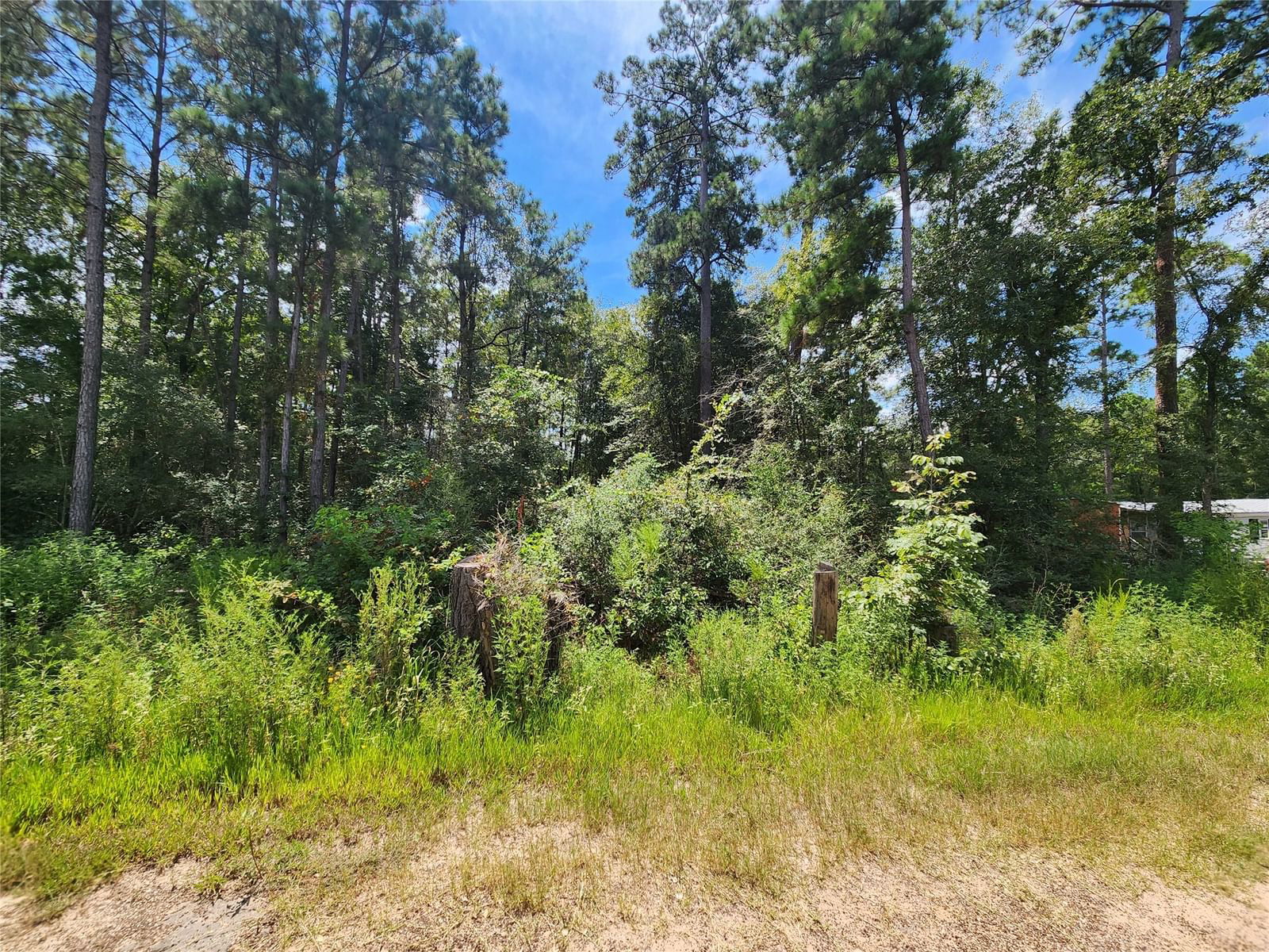 Real estate property located at Lot 4 Coral Bean, Grimes, Pinebrook, Plantersville, TX, US