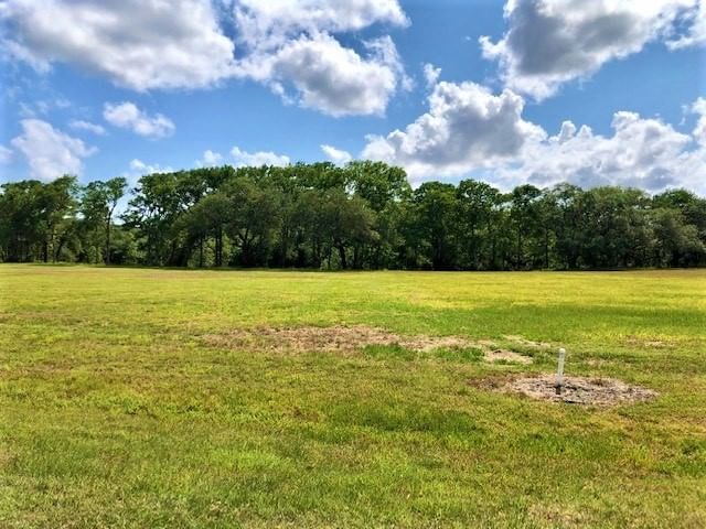 Real estate property located at 223 River Tree, Matagorda, Vaquero River Estates, Palacios, TX, US