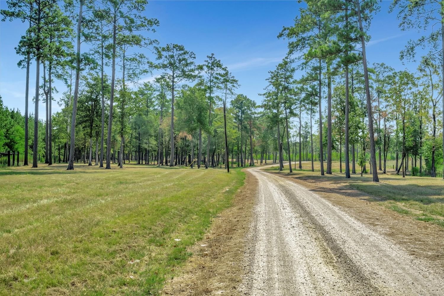 Real estate property located at 1106 Marions Ferry Rd, Jasper, Huntington, TX, US