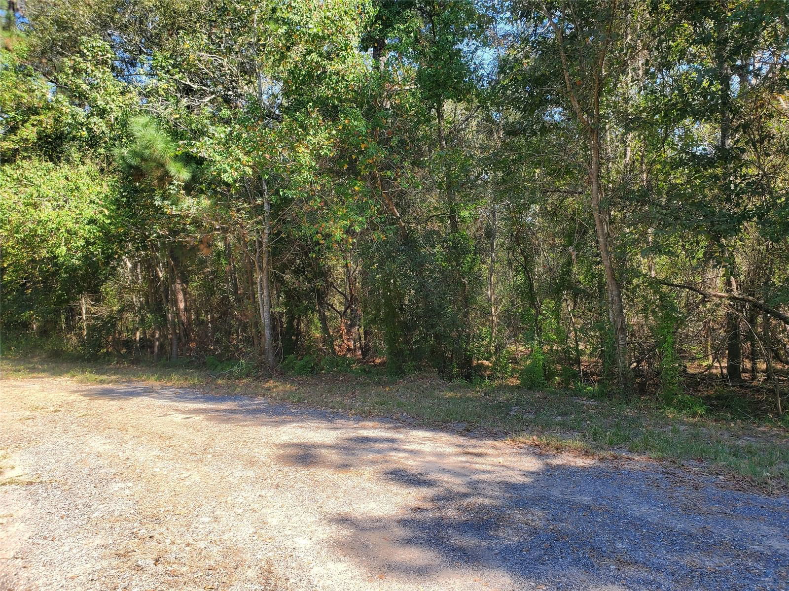 Real estate property located at TBD ROMAN FOREST, Montgomery, Roman Forest 04, New Caney, TX, US