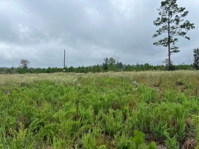 Real estate property located at TBD 4 Young Road, Polk, Livingston, TX, US