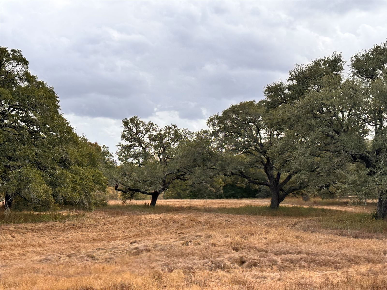 Real estate property located at TBD Affleck Rd, Washington, Horatio Chriesman Surv Abs 24, Brenham, TX, US