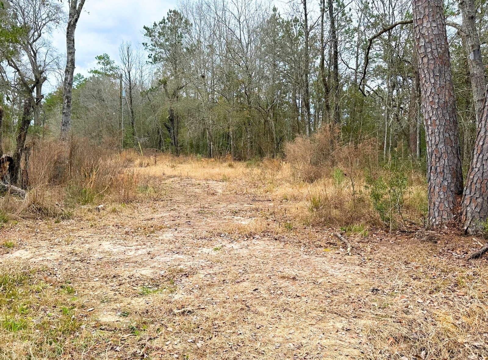 Real estate property located at 12280 Pelt Rd, Hardin, Unknown, Kountze, TX, US