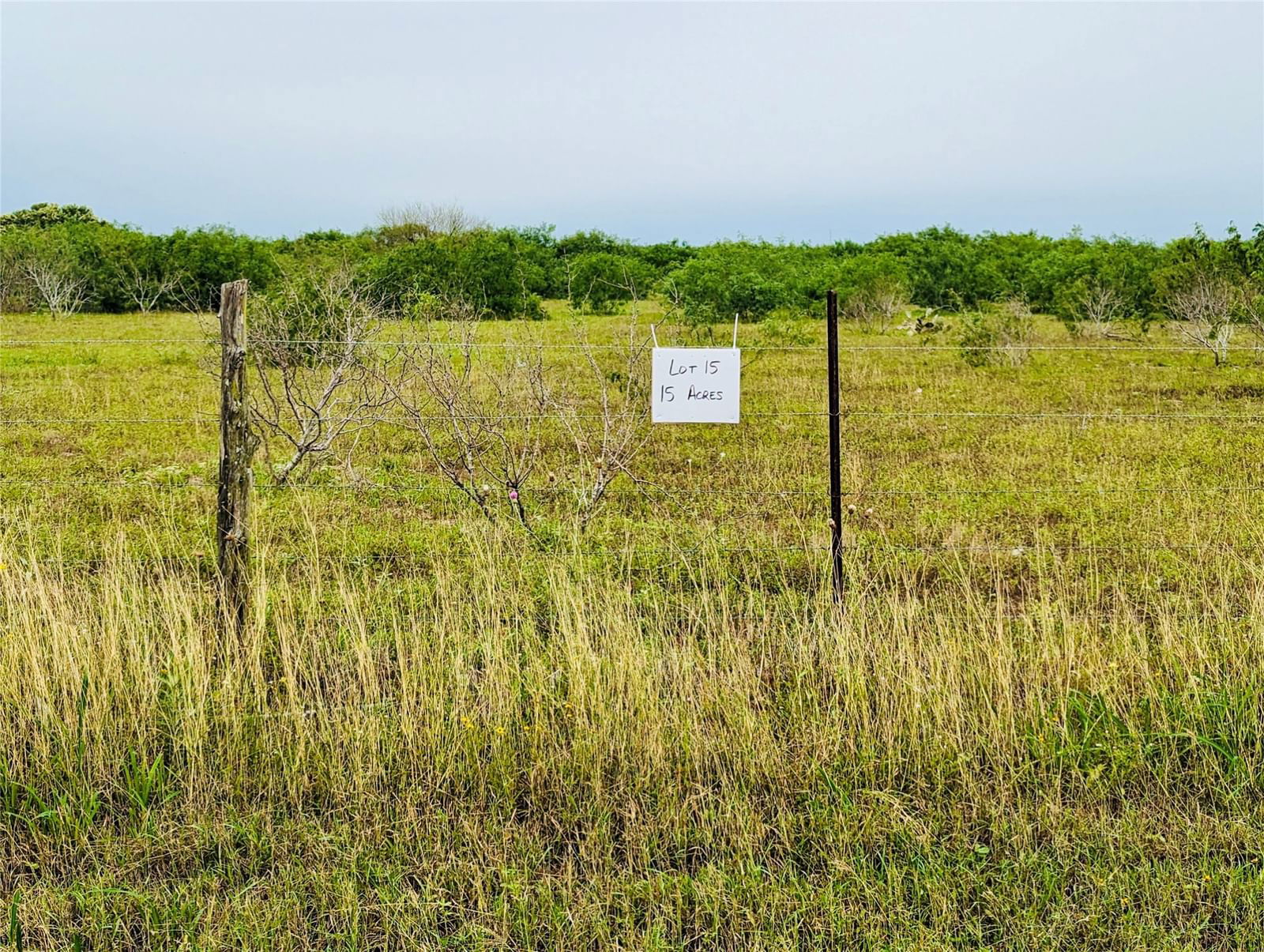 Real estate property located at Lot 15 Cr 430, Jim Wells, Haldeman Sub, Premont, TX, US