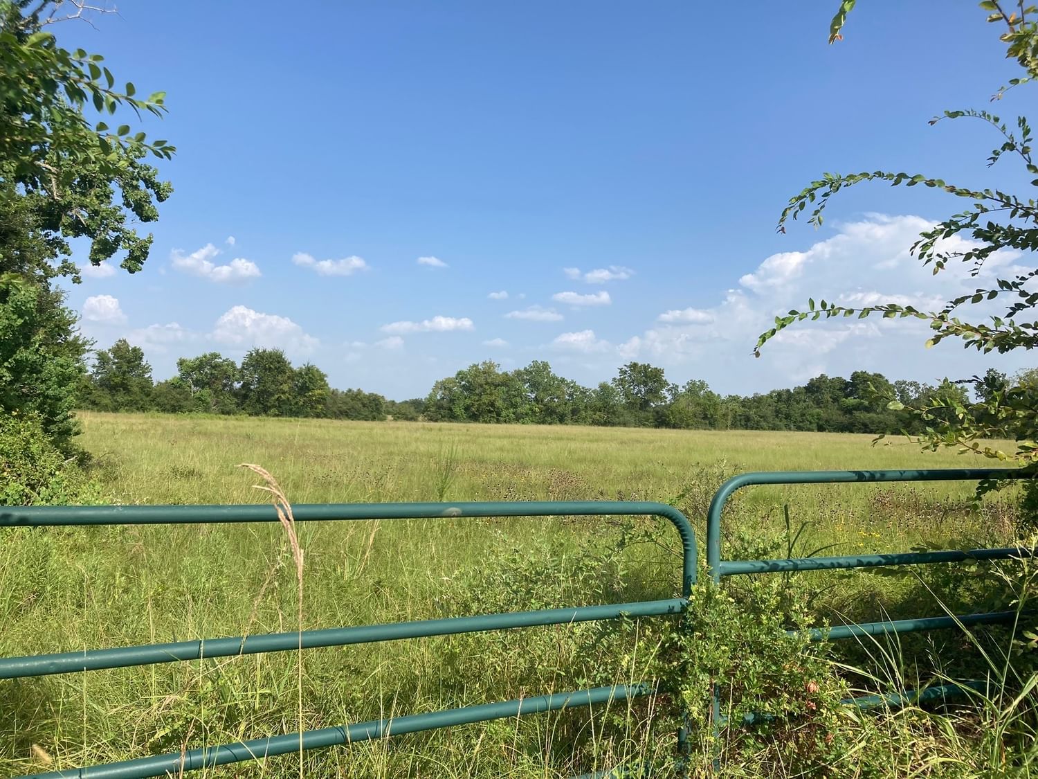 Real estate property located at 0 Becker Road, Harris, Harris County School Lands Sur, Hockley, TX, US