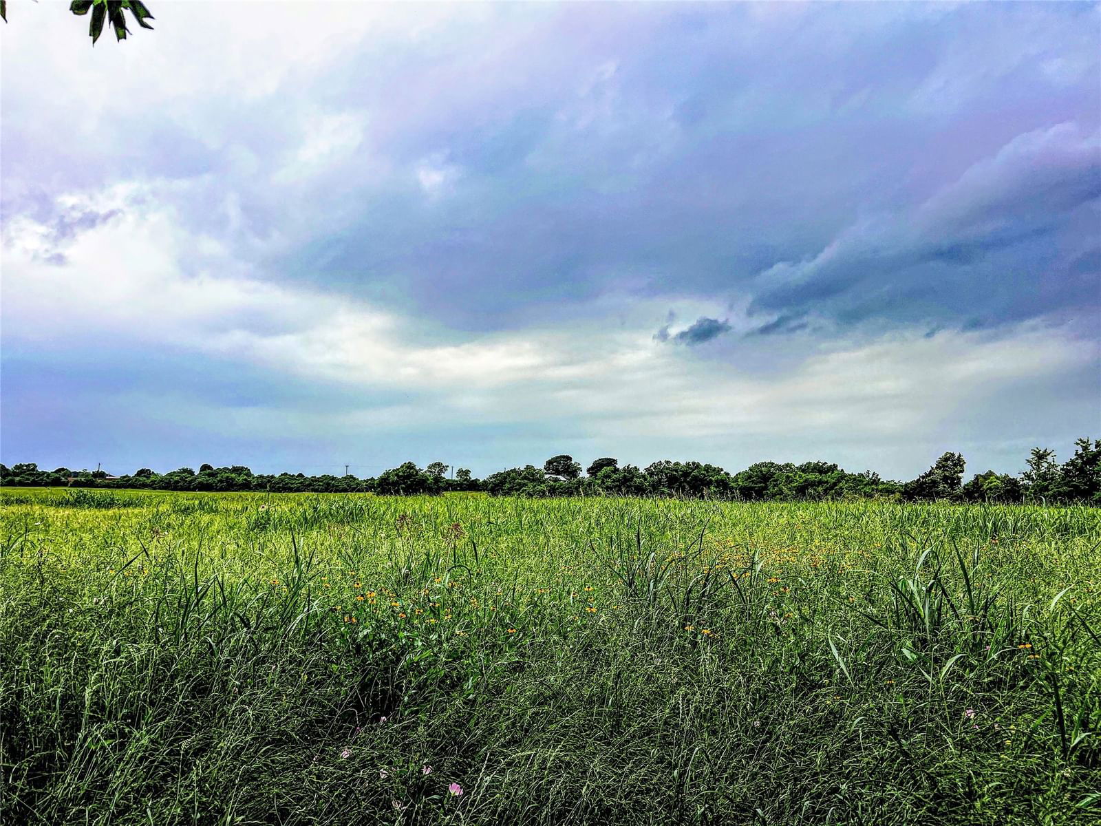 Real estate property located at 000 Schroeder RD, Washington, Porch Swing Plantation, Brenham, TX, US