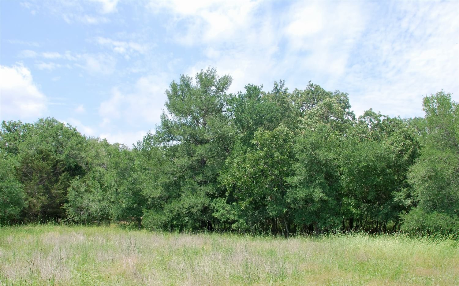 Real estate property located at 3162 County Rd 397, Gonzales, T Barnes Surv Abs #112, Moulton, TX, US