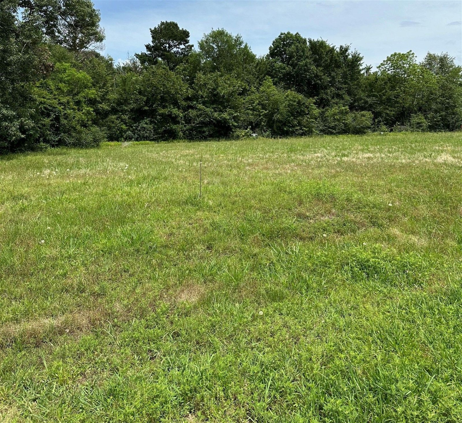 Real estate property located at Lot 15 Autumn, Polk, Livingston, TX, US