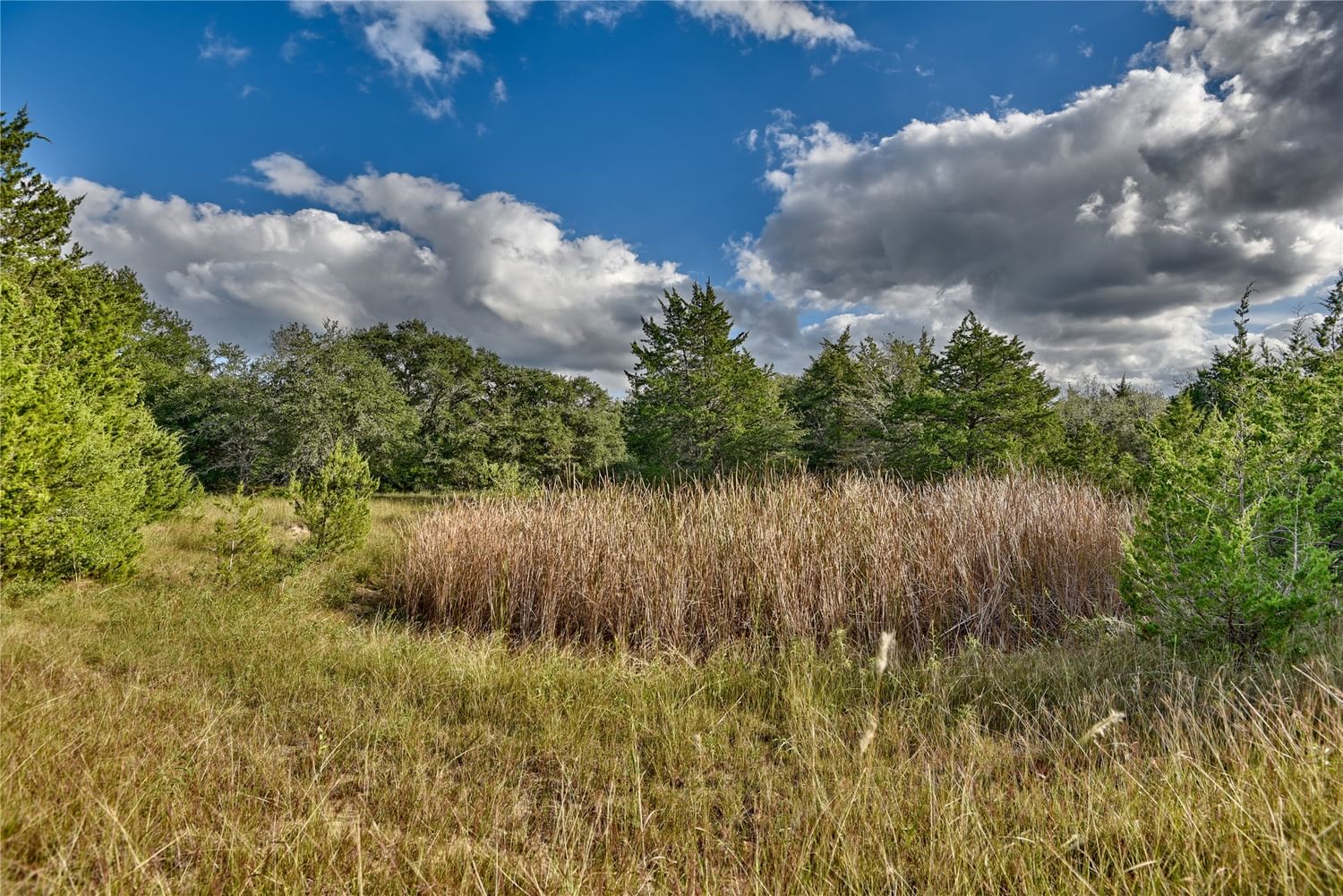 Real estate property located at TBD Palestine Rd TR 2 and 3, Washington, S4787 - S4787 - PALESTINE ESTATES, Brenham, TX, US