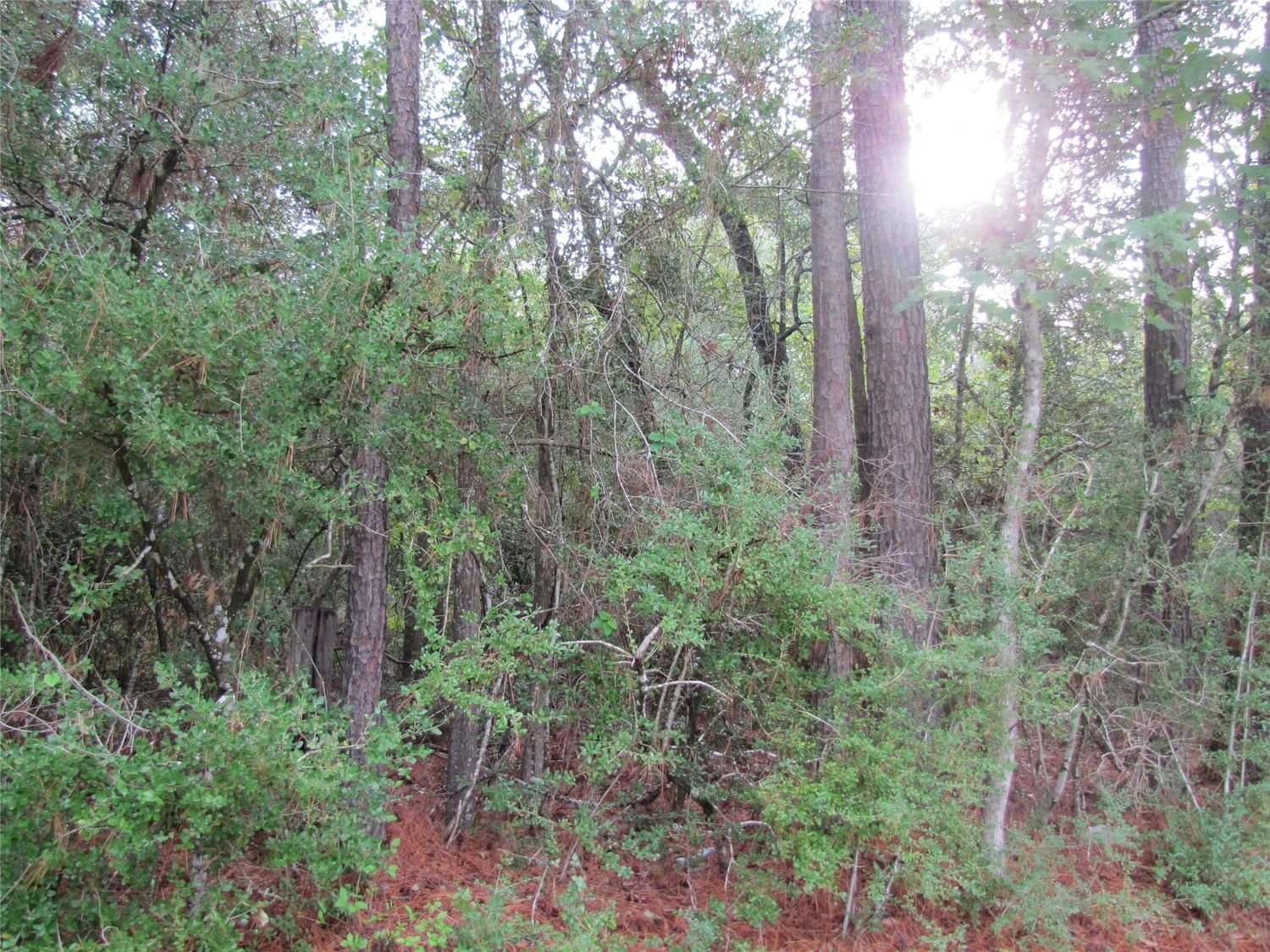 Real estate property located at 000 Decker Woods, Montgomery, none, Magnolia, TX, US
