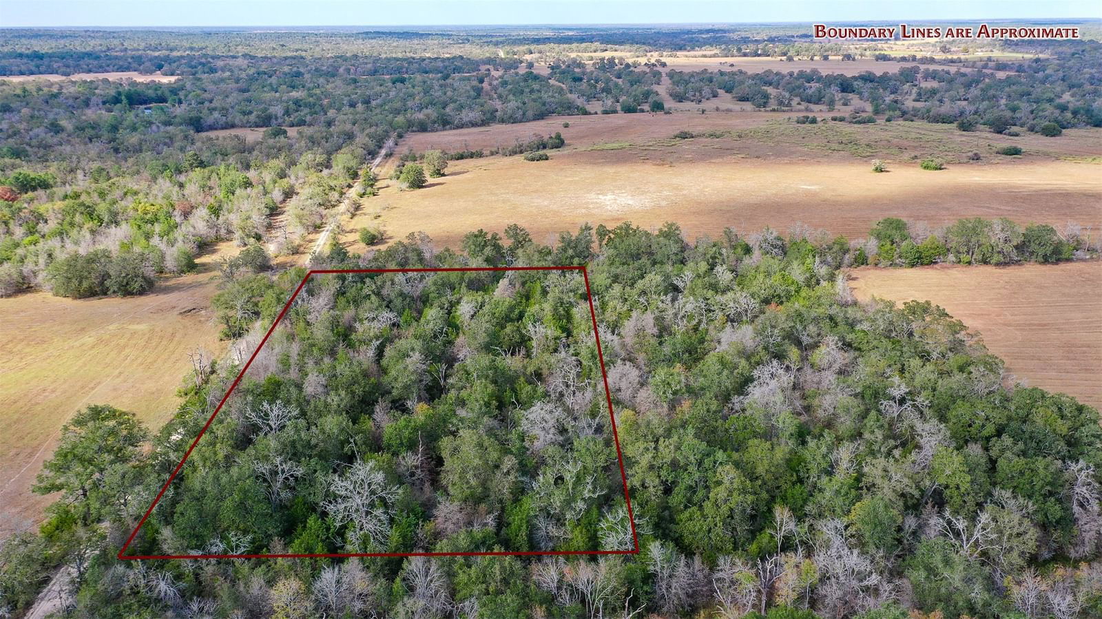 Real estate property located at Lot 1 County Rd 229, Grimes, n/a, Bedias, TX, US