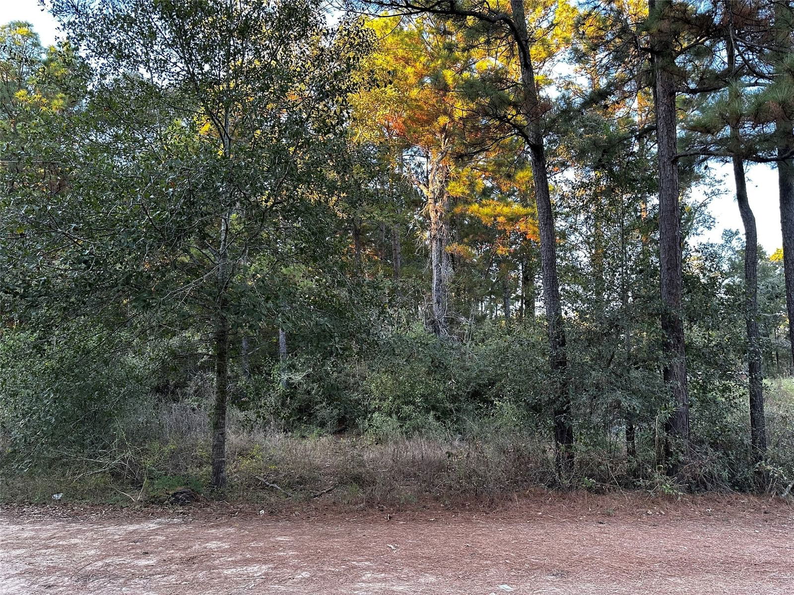 Real estate property located at Lot 28 Hoptree, Grimes, Pinebrook, Plantersville, TX, US