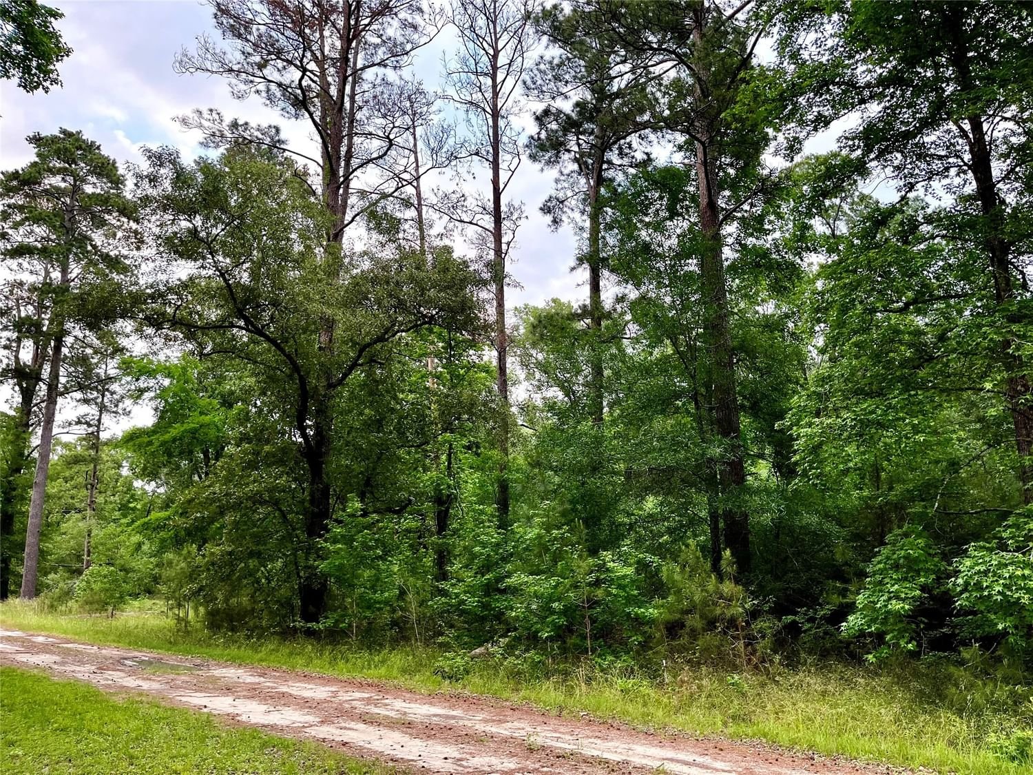 Real estate property located at TBD Lakeside, Trinity, Camp Branch Acres Sec 3, Trinity, TX, US