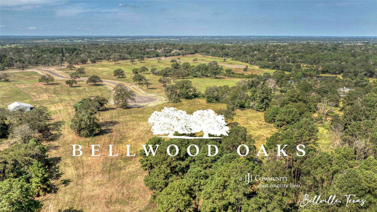 Real estate property located at 197 Oak Hill Lane, Austin, Bellwood Oaks Subdivision, Bellville, TX, US