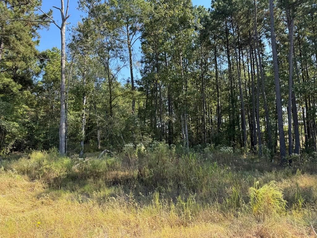 Real estate property located at 125 Yaupon, Angelina, Shirey Forest, Lufkin, TX, US