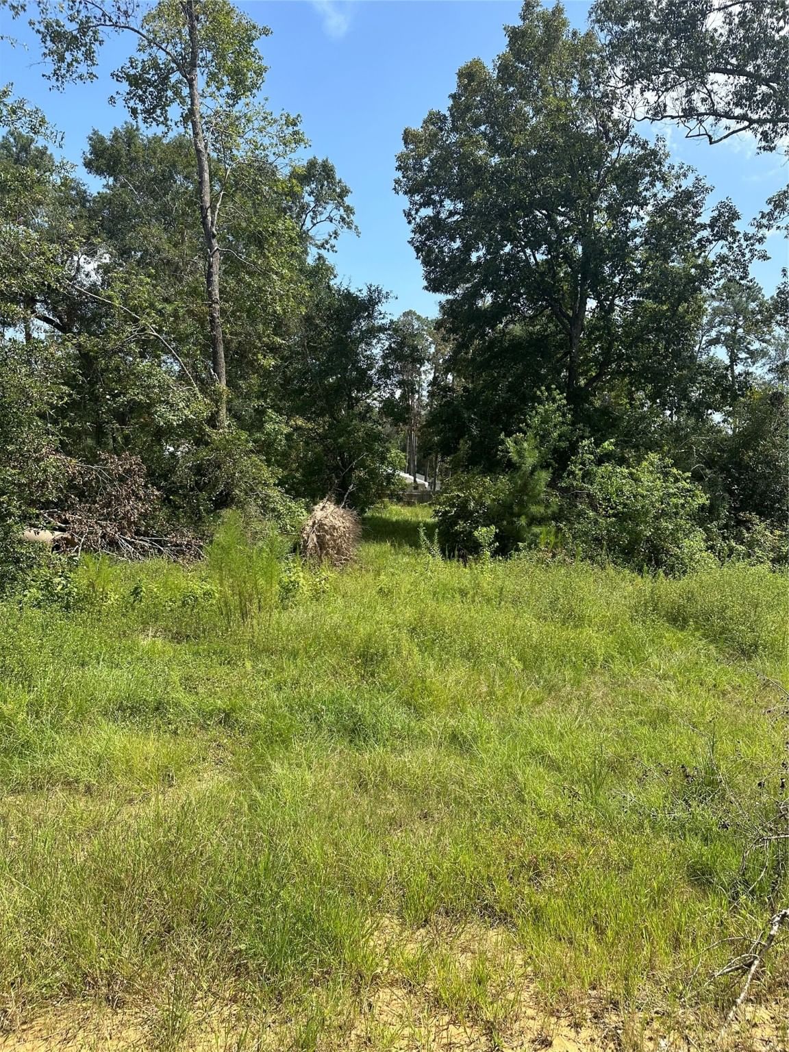 Real estate property located at 2823 Parthenon Place, Montgomery, Roman Forest 03, New Caney, TX, US