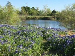 Real estate property located at 413 County Road 207, Milam, None, Buckholts, TX, US