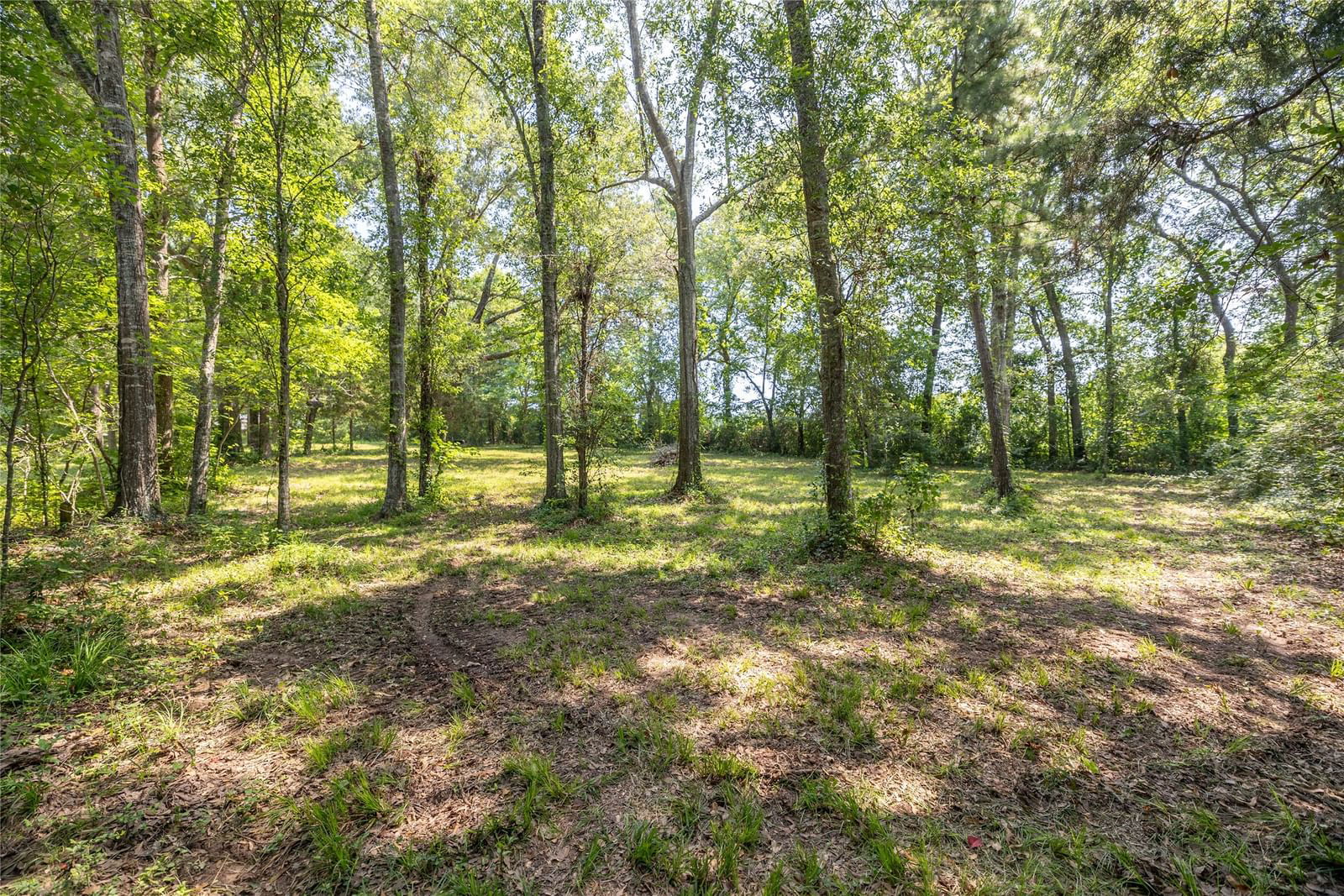 Real estate property located at TBD Steele, San Jacinto, Hickory Hills, Coldspring, TX, US