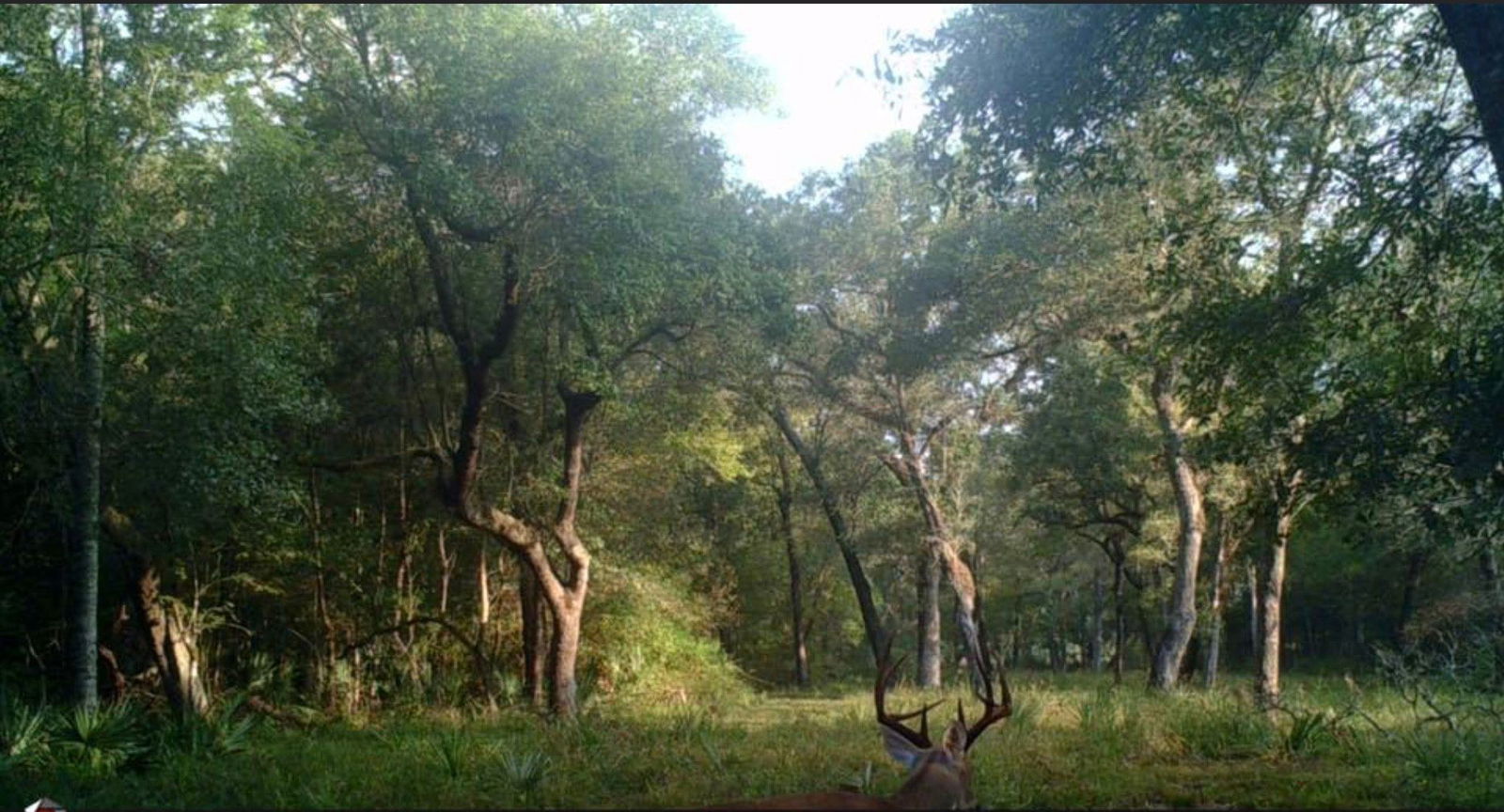 Real estate property located at 0 County Road 728c, Brazoria, Sweeny, TX, US