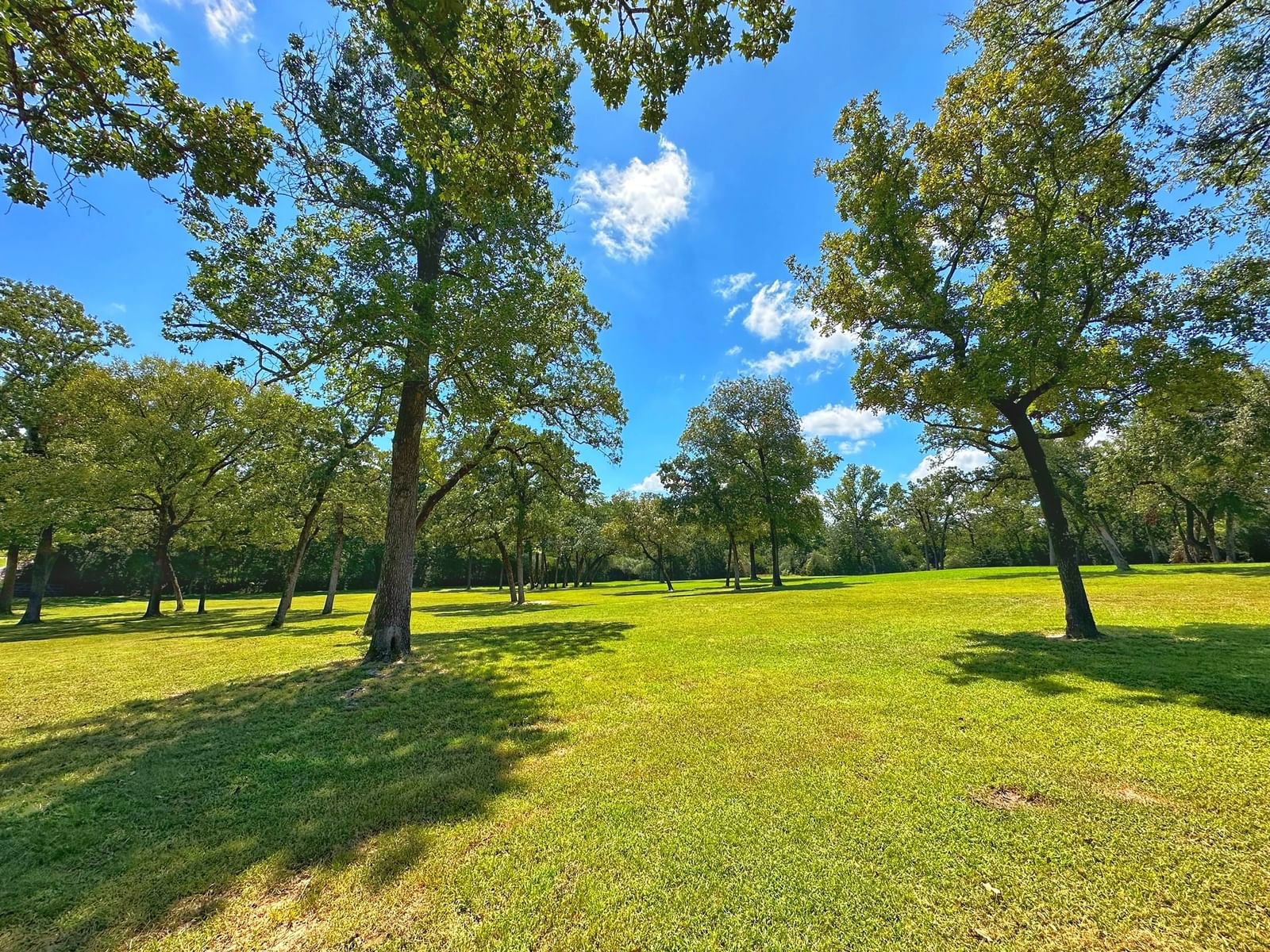 Real estate property located at 237 CR 478, Leon, Lakewood Subdivision, Centerville, TX, US