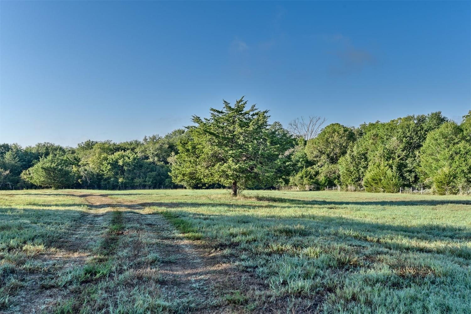 Real estate property located at 6454 Trackside, Washington, Chappell Hill, TX, US