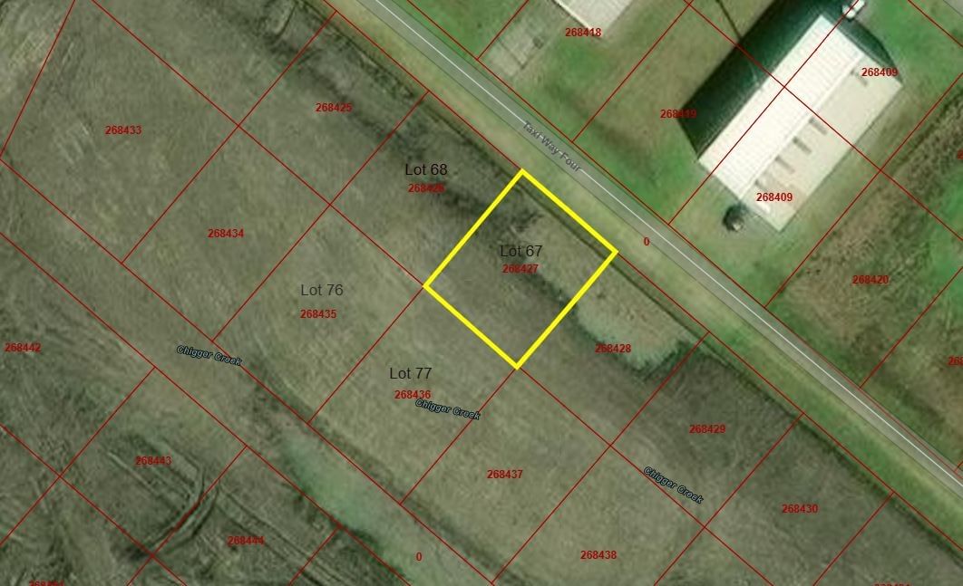 Real estate property located at Lot 67 Wolfe Airpark, Brazoria, Wolfe Airpark, Manvel, TX, US