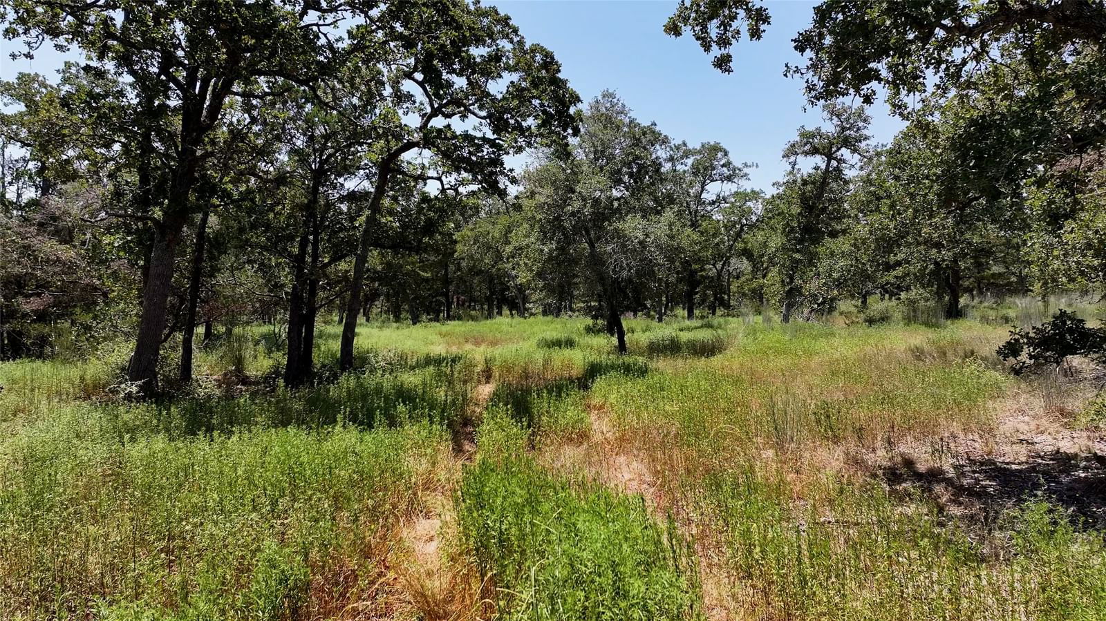 Real estate property located at 000 Schulle, Fayette, A033-COLTON D E LG, Round Top, TX, US