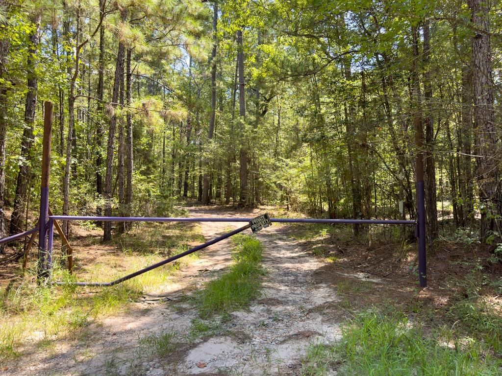 Real estate property located at Tract 4.4 Frazier Road, Angelina, n/a, Zavalla, TX, US