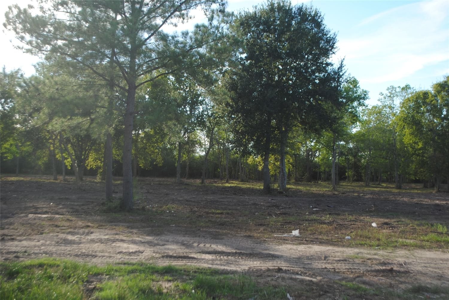 Real estate property located at Lot 3 Live Oak, Fort Bend, Magnolia Place, Fresno, TX, US