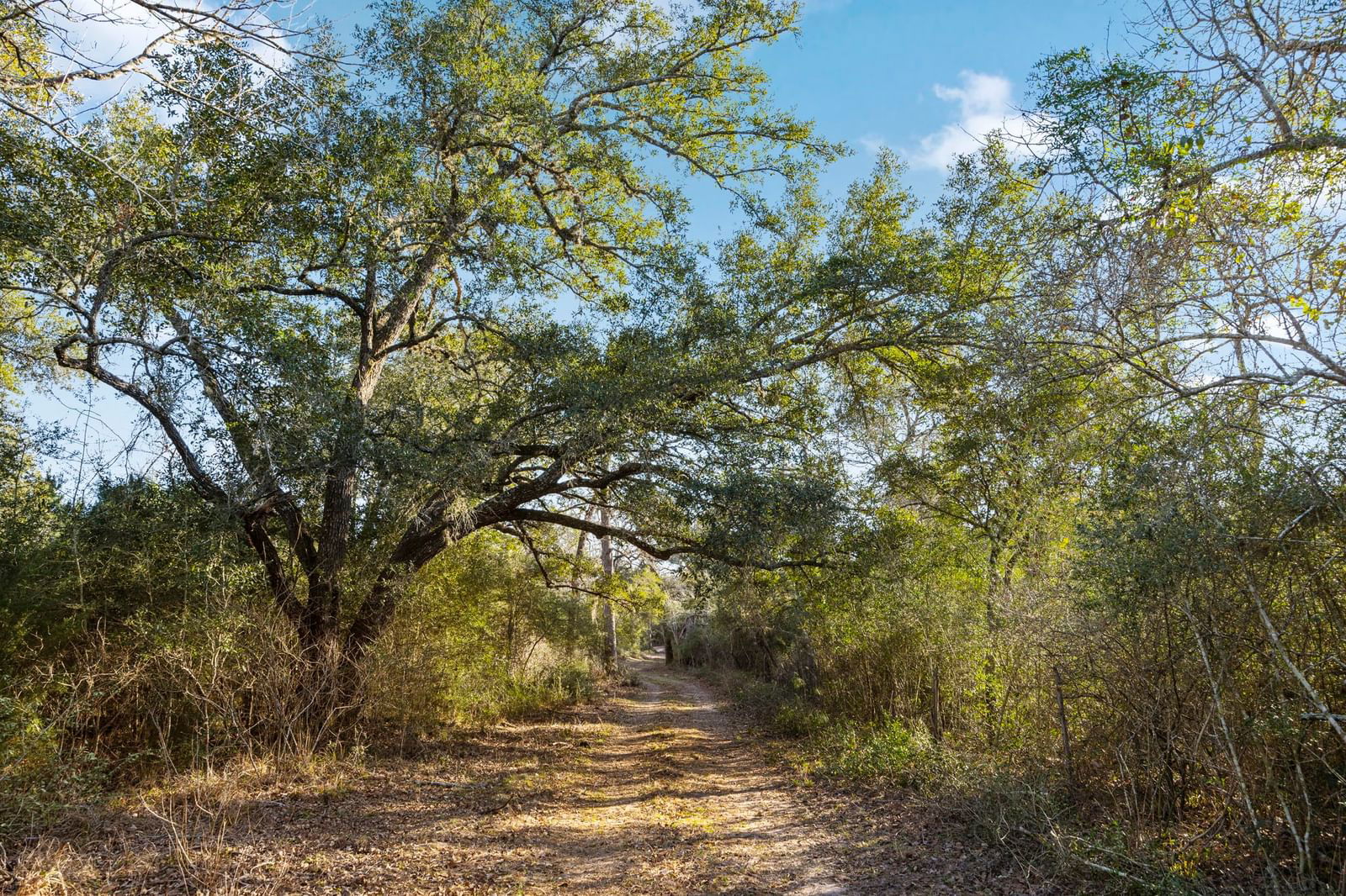 Real estate property located at TBD ALLEYTON ROAD, Colorado, CORNETT, Columbus, TX, US