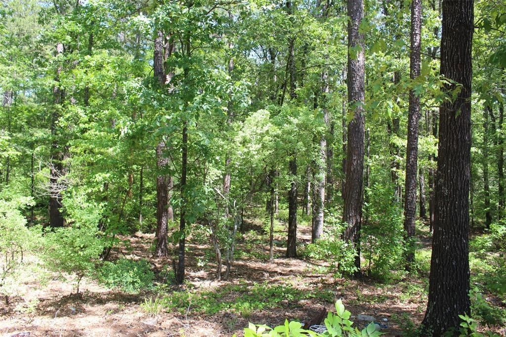 Real estate property located at 00 Farm to Market road 778, Wood, Lake O' The Woods, Hawkins, TX, US