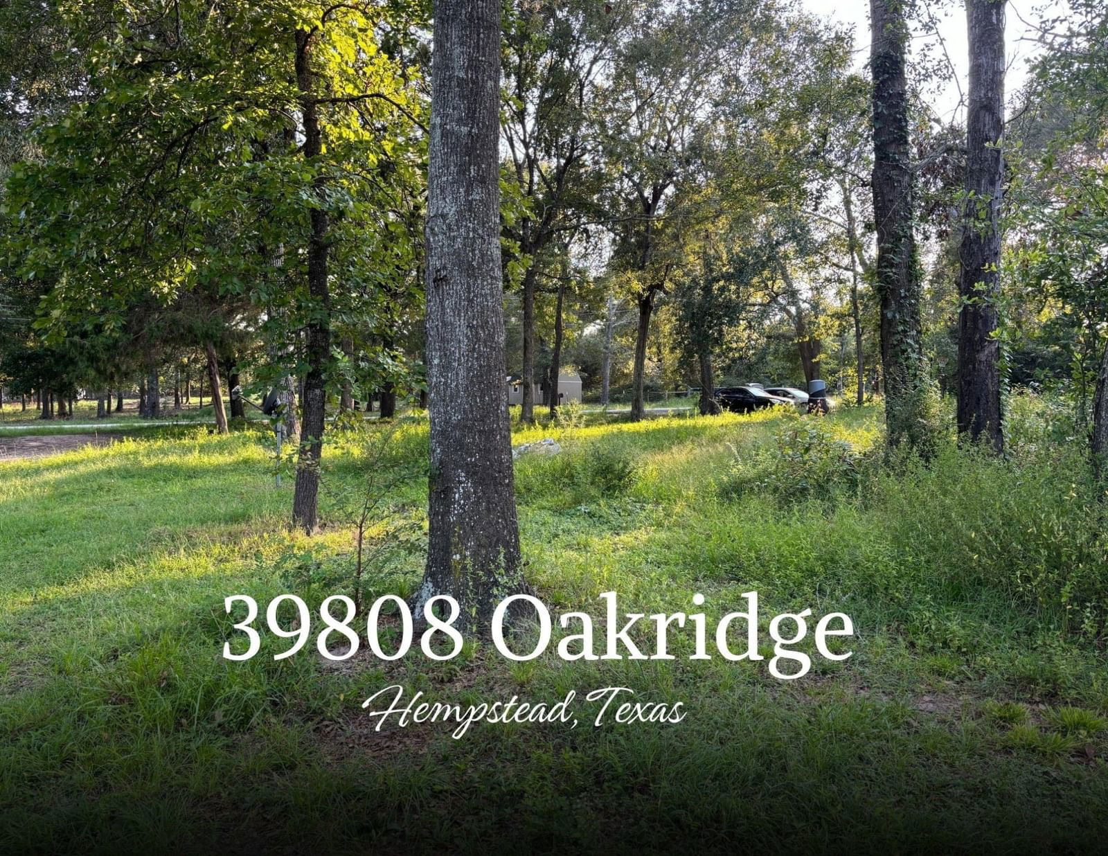 Real estate property located at 39808 Oakridge, Waller, Oakridge Estates 2 Rep, Hempstead, TX, US