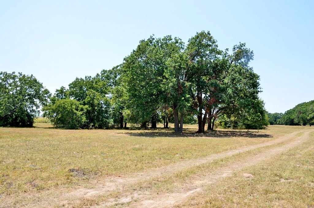 Real estate property located at TBD 155 FM 1227, Grimes, other, Navasota, TX, US