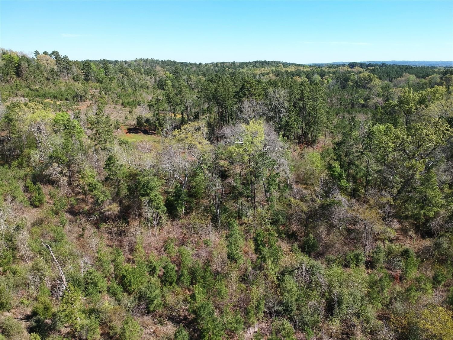 Real estate property located at TBD County Road 2109, Cherokee, Lacy G B, Rusk, TX, US
