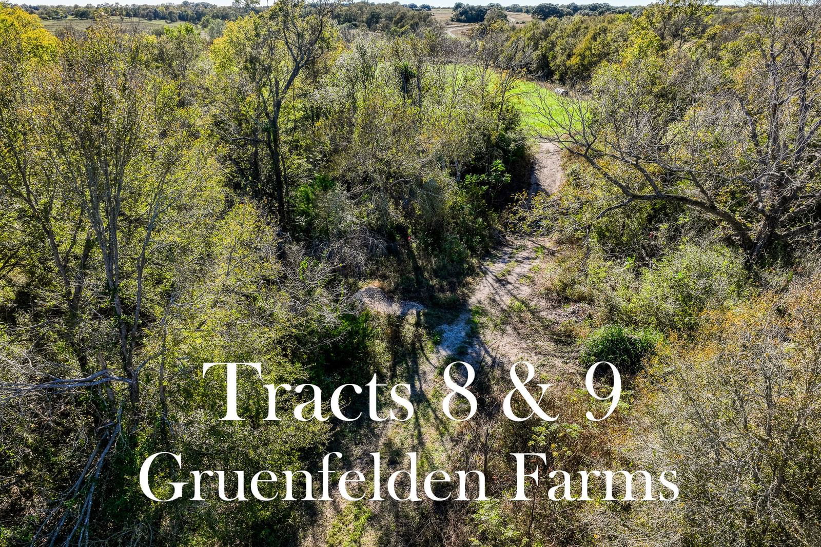 Real estate property located at Tracts 8&9 Brandt Rd, Washington, Gruenfelden Farms, Burton, TX, US