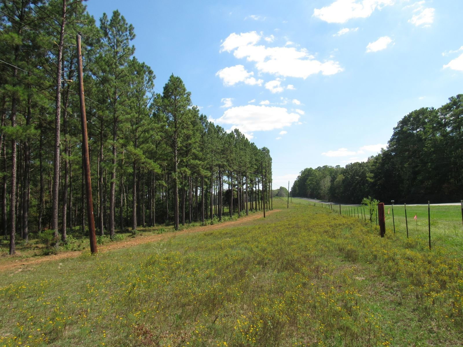 Real estate property located at 0004 FM 256 N, Tyler, The Timbers at 256, Woodville, TX, US