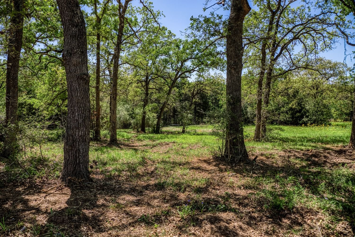 Real estate property located at TBD (25.43 Acre County Road 436, Lee, Lone Pine Forest, Dime Box, TX, US
