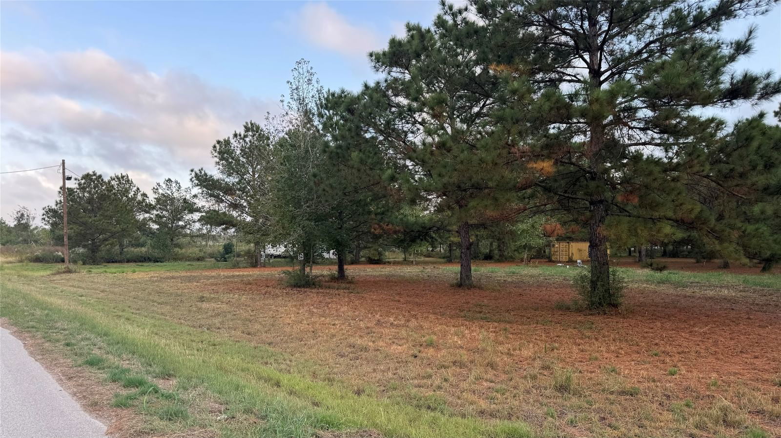 Real estate property located at 226 County Road 4861, Liberty, Cedar Springs, Sec 2, Dayton, TX, US