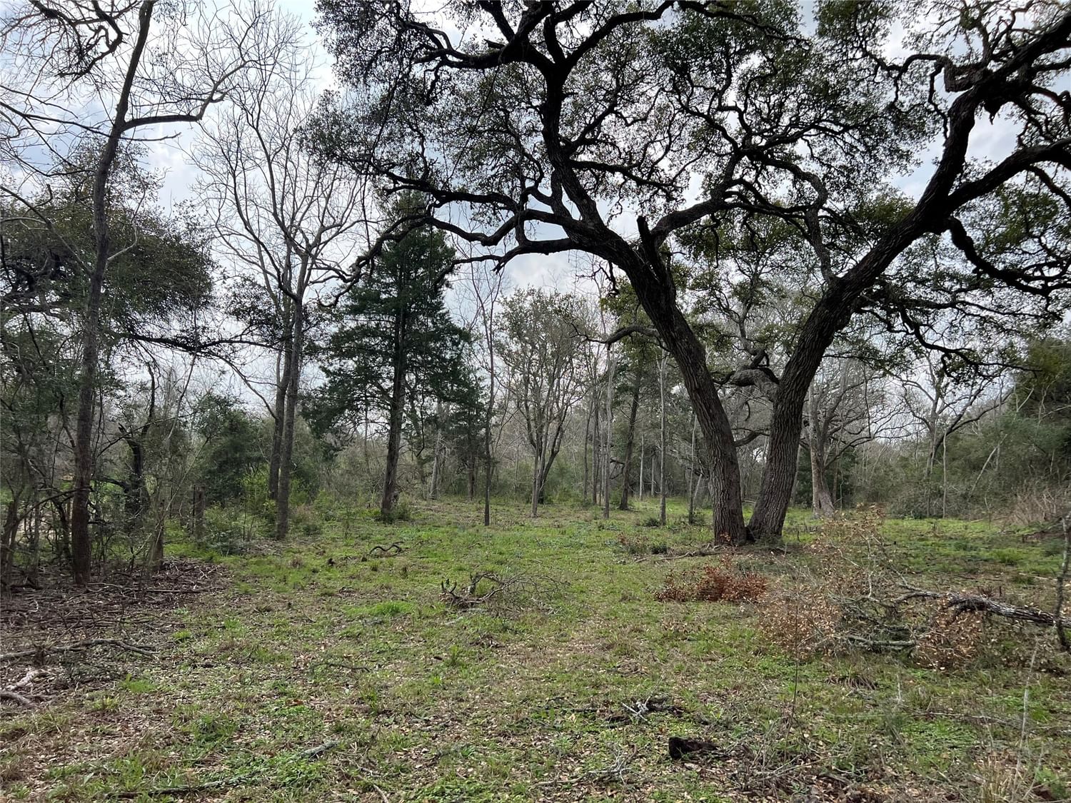 Real estate property located at 00000 County Road 212, Lavaca, none, Hallettsville, TX, US