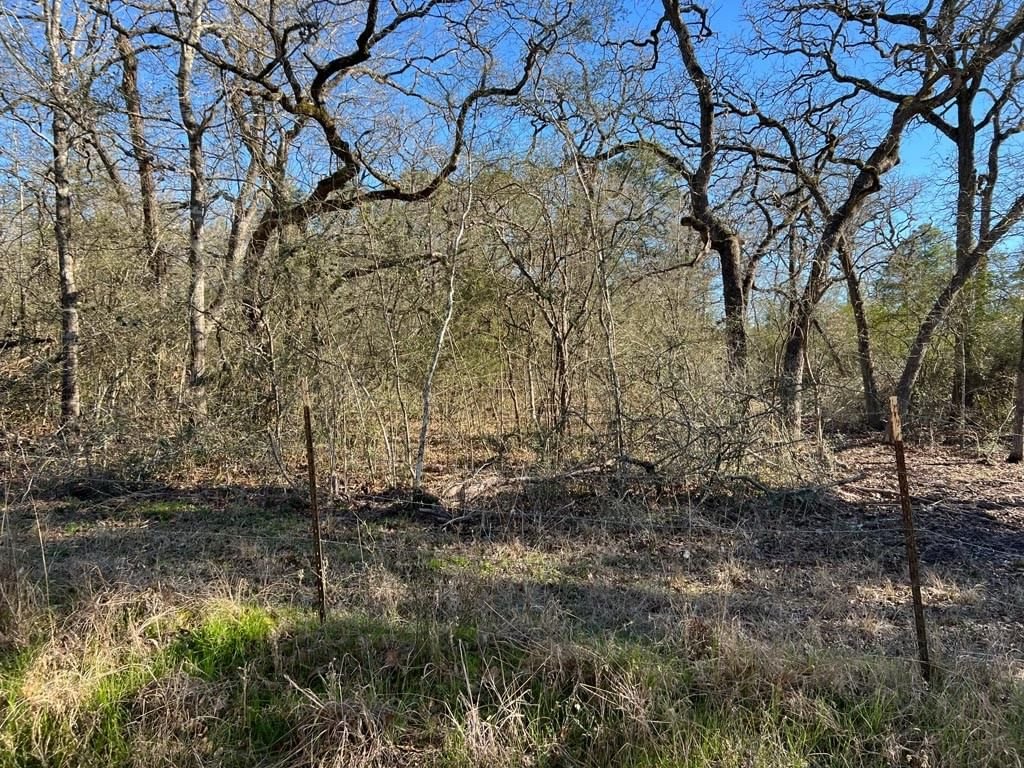 Real estate property located at TBD County Road 154, Grimes, None, Bedias, TX, US