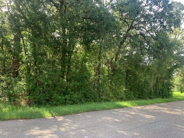 Real estate property located at lot 4 East Lakeshore, Montgomery, Woodland Lakes 01 Mag, Magnolia, TX, US