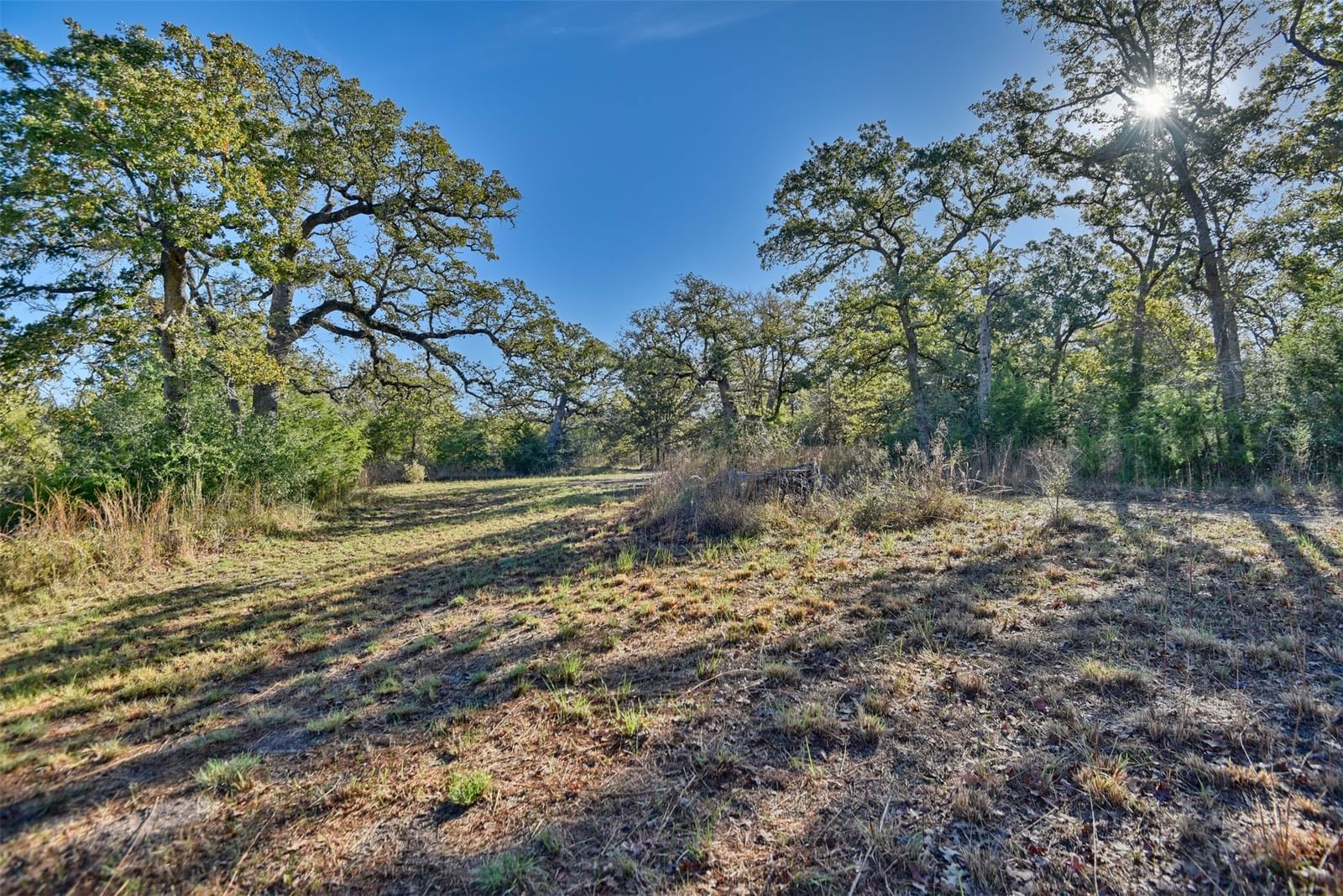 Real estate property located at 261 Moss Oak, Burleson, Deer Forest, Somerville, TX, US