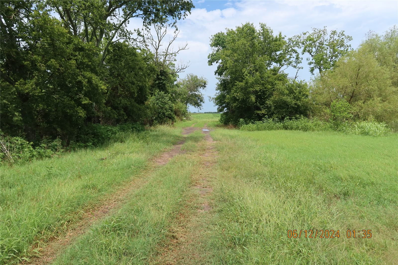 Real estate property located at 2277 CR 116, Colorado, 0, Garwood, TX, US