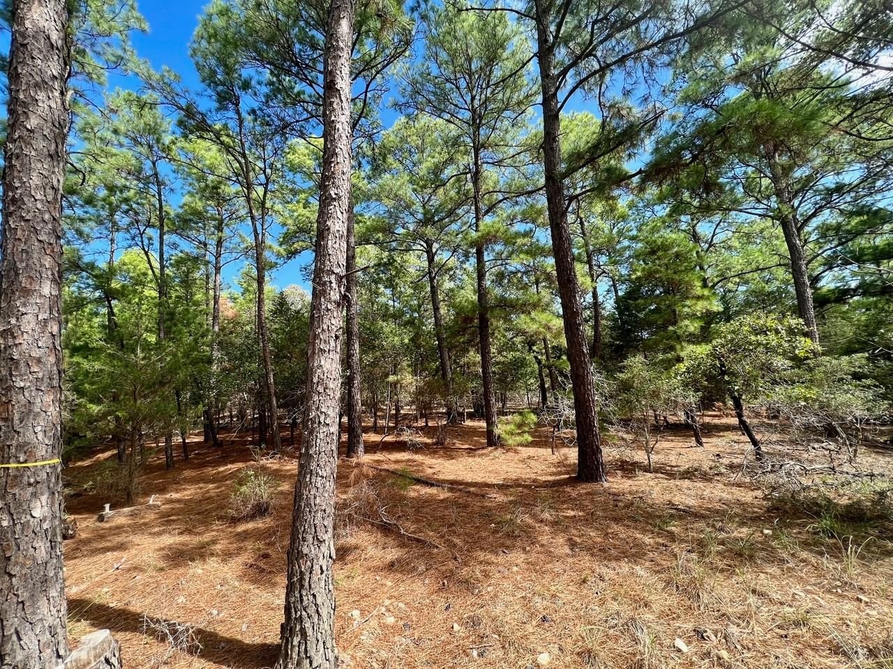 Real estate property located at TBD Crazy Horse, Fayette, Clear Lake Pines, La Grange, TX, US