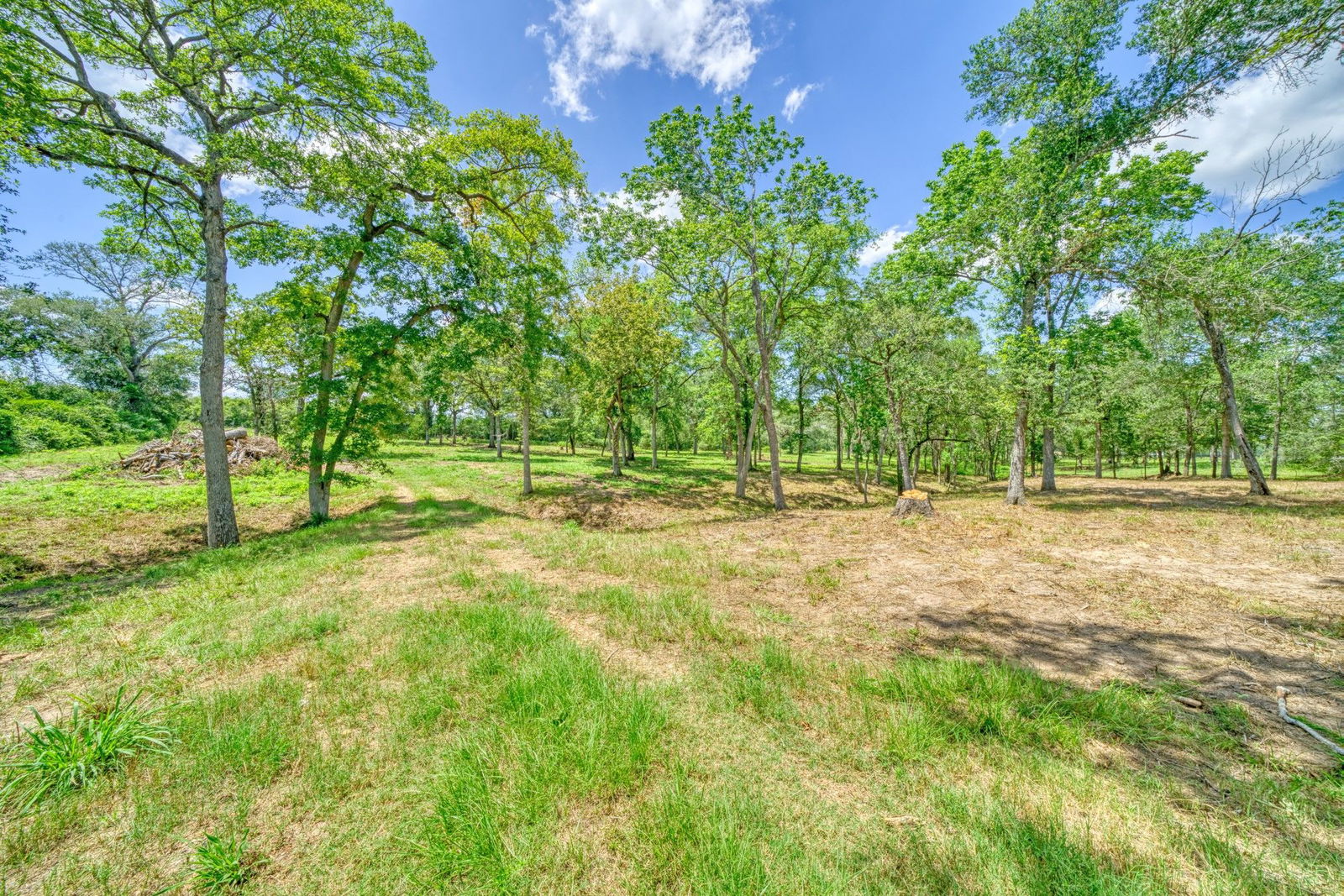 Real estate property located at 3819 Eli, Austin, Bellville, TX, US