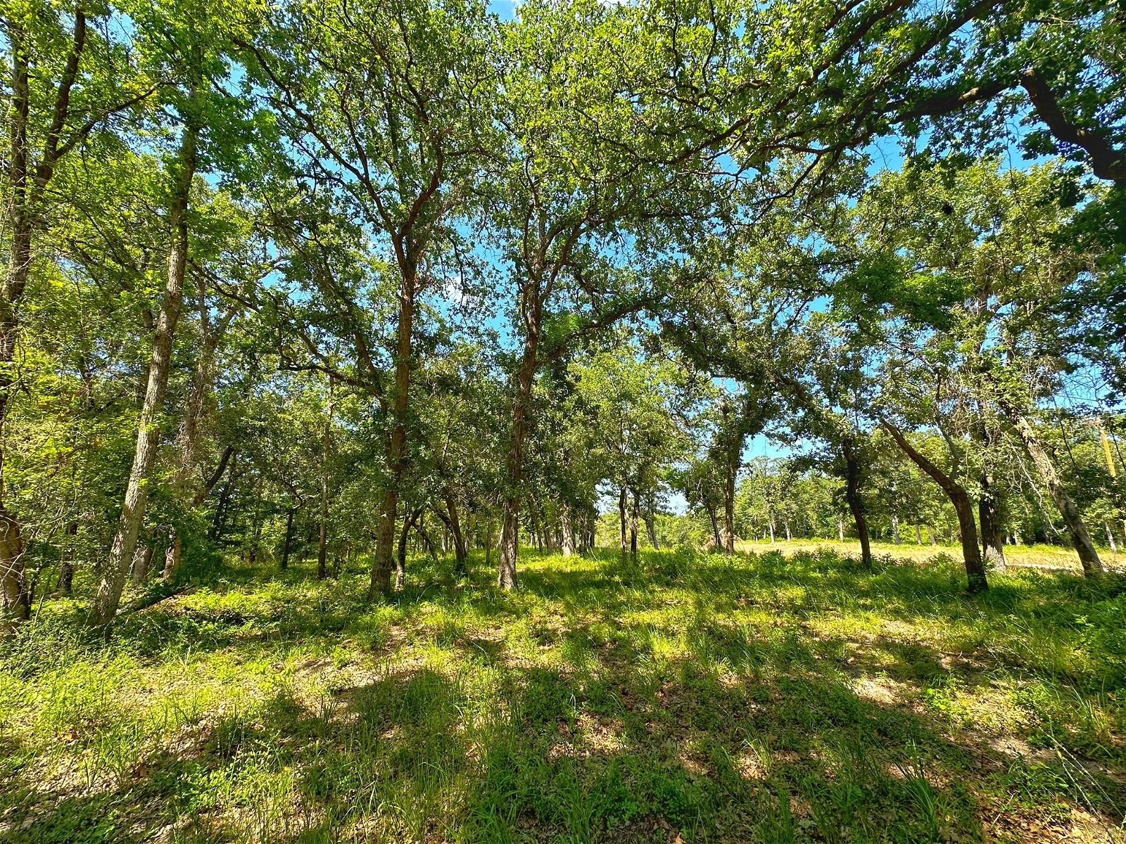 Real estate property located at 4 ac Pr 1313, Leon, Centerville, TX, US