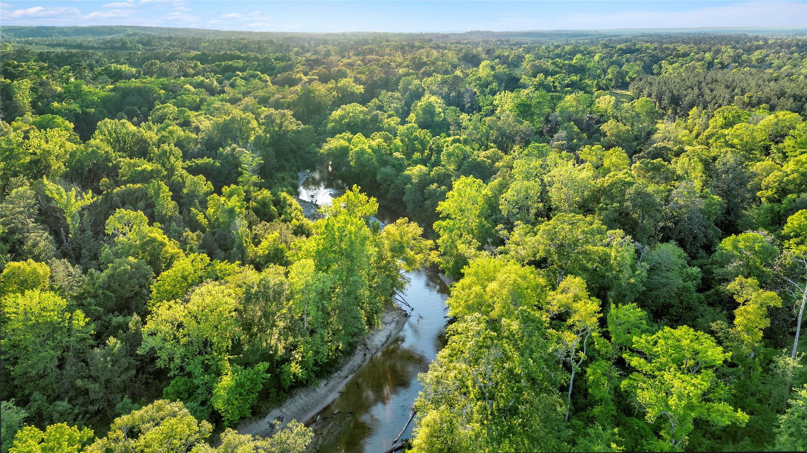 Real estate property located at TBD Burkeville, Newton, Burkeville, TX, US