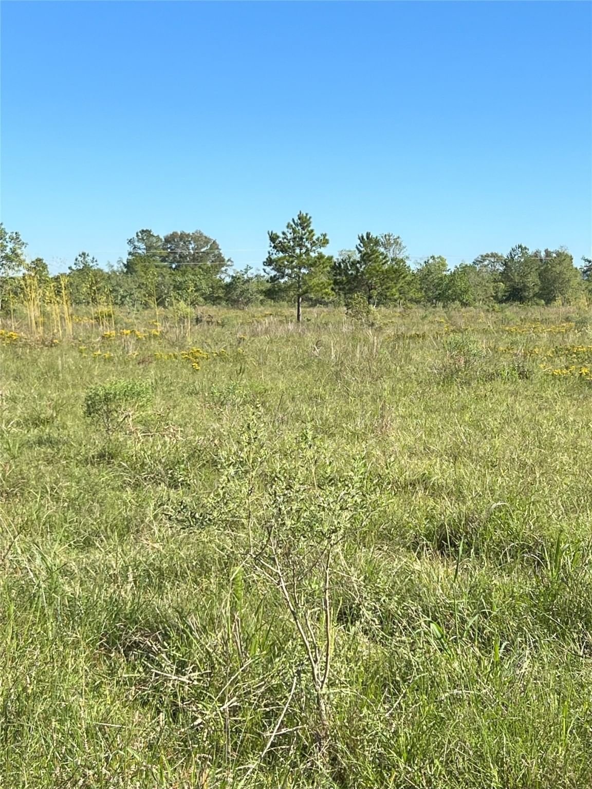Real estate property located at 001 HWY 105, Hardin, A0948 LOYD ROXIE, Sour Lake, TX, US
